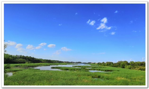 A07    黃河國(guó)家濕地公園1.jpg